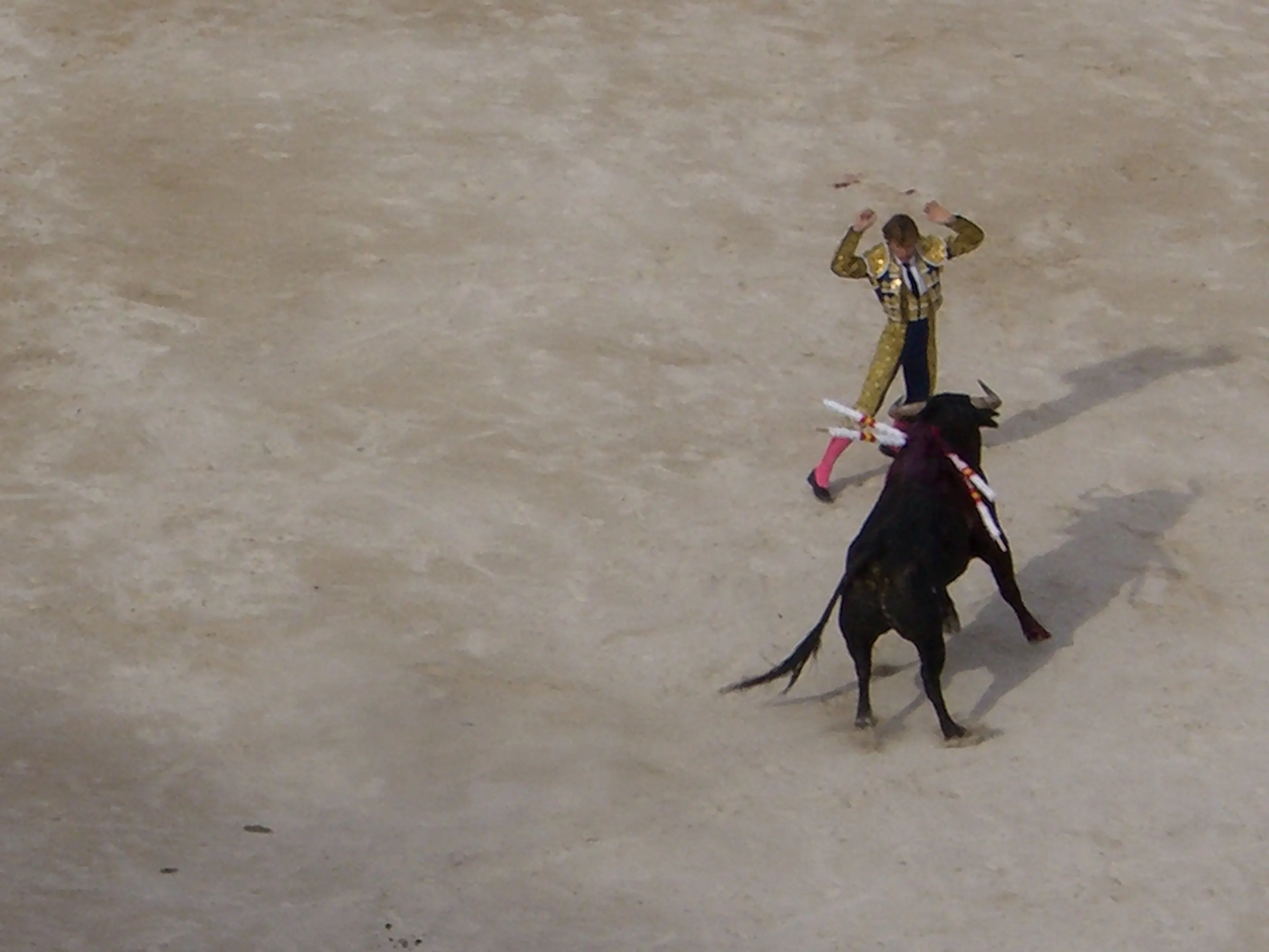 2006 Jun - Bullfights at Arène de Nîmes - Nîmes